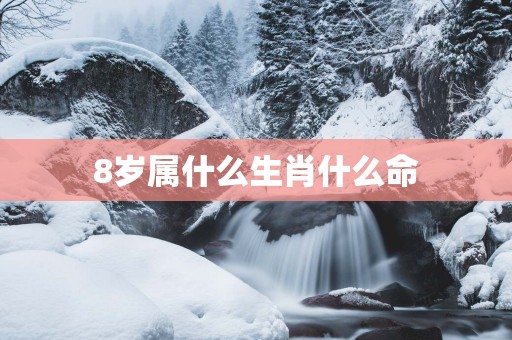 8岁属什么生肖什么命