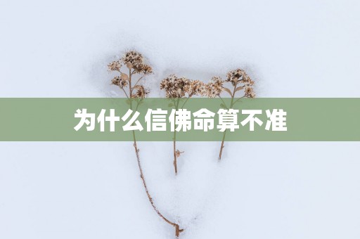 为什么信佛命算不准