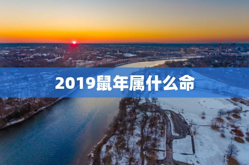 2019蛇年属什么命