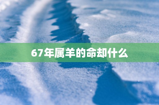 67年属羊的命却什么