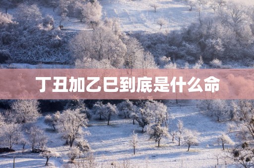 丁丑加乙巳到底是什么命