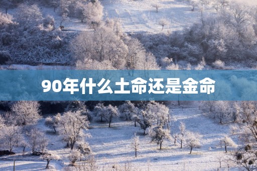 90年什么土命还是金命