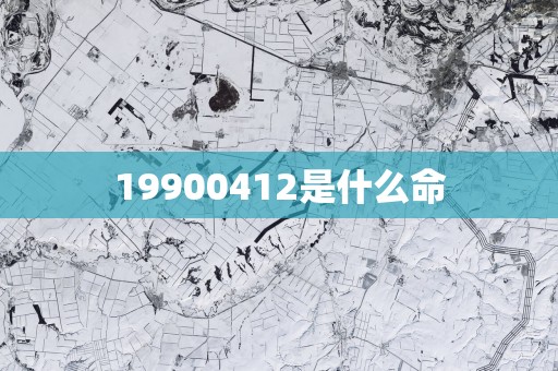 19900412是什么命