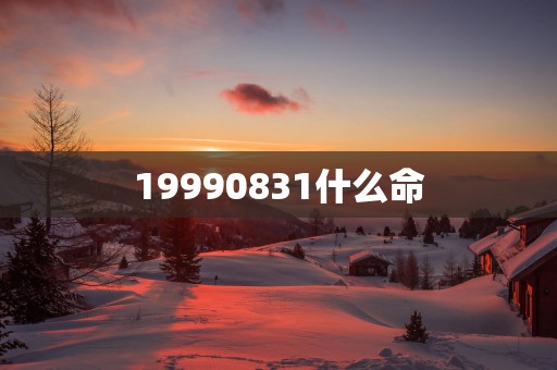 19990831什么命