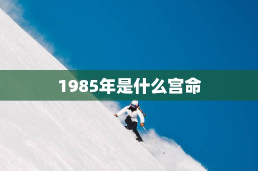 1985年是什么宫命
