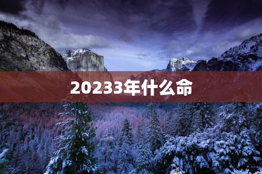 20253年什么命
