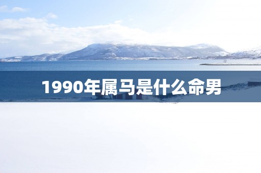 1990年属马是什么命男