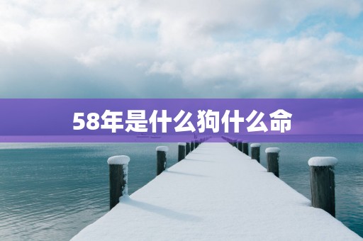 58年是什么狗什么命