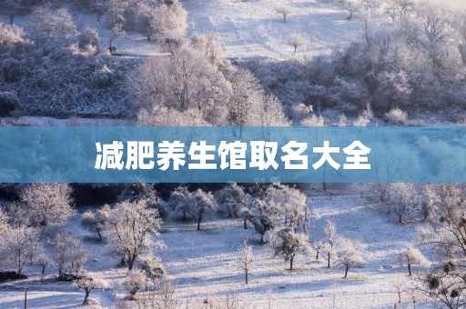 减肥养生馆取名大全