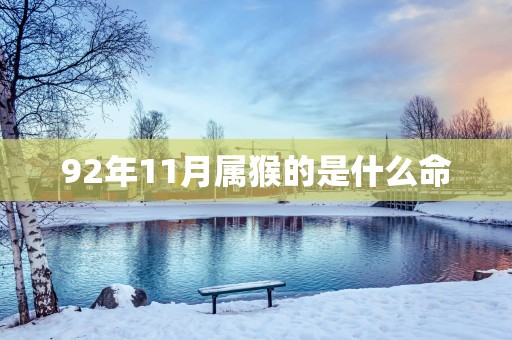 92年11月属猴的是什么命