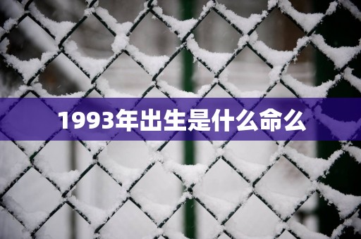 1993年出生是什么命么