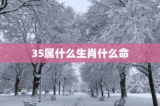 35属什么生肖什么命