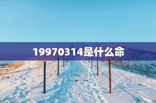 19970314是什么命
