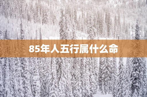 85年人五行属什么命
