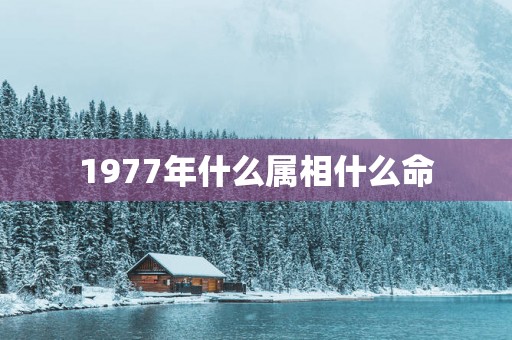 1977年什么属相什么命