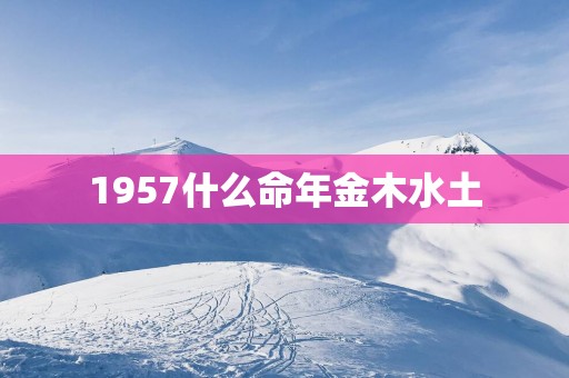 1957什么命年金木水土