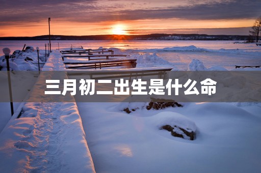 三月初二出生是什么命