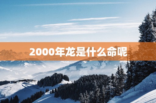 2000年龙是什么命呢
