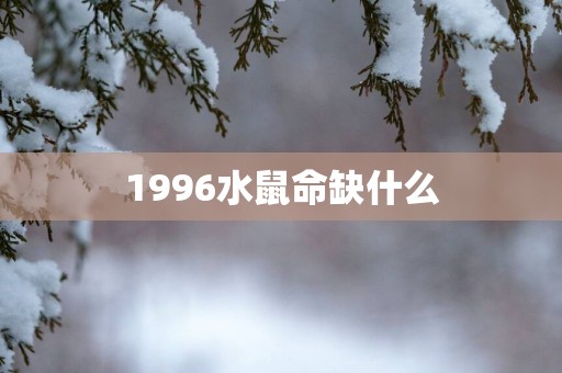1996水鼠命缺什么