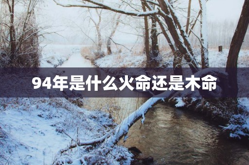 94年是什么火命还是木命