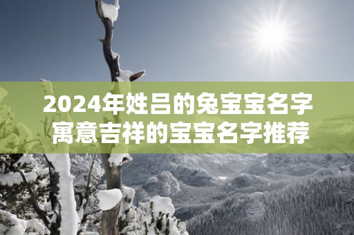 2025年姓吕的兔宝宝名字 寓意吉祥的宝宝名字推荐