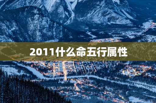 2011什么命五行属性