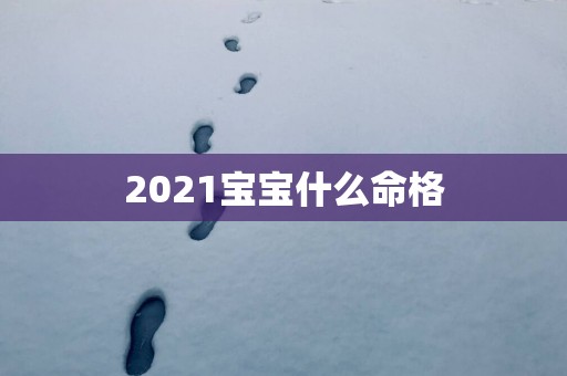 2025宝宝什么命格