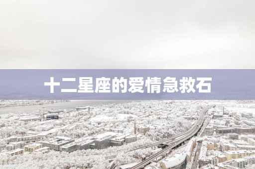 十二星座的爱情急救石