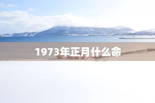 1973年正月什么命
