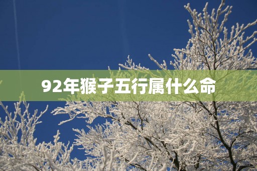 92年猴子五行属什么命