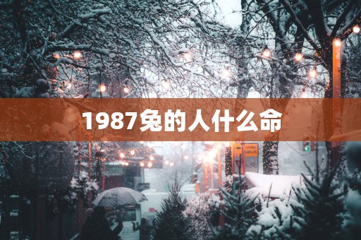 1987兔的人什么命