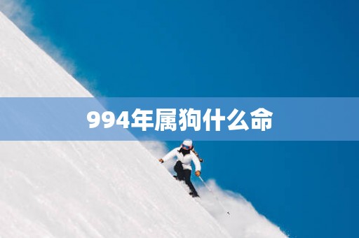 994年属狗什么命