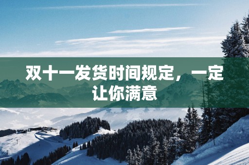 双十一发货时间规定，一定让你满意