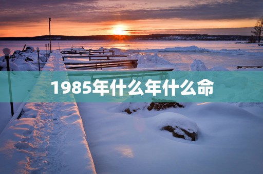 1985年什么年什么命