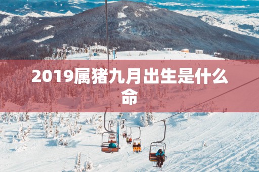 2019属猪九月出生是什么命