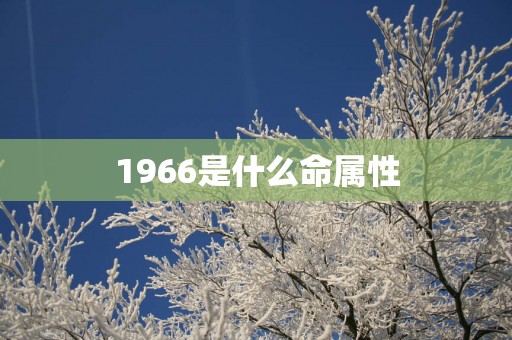 1966是什么命属性