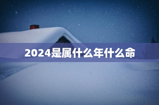 2025是属什么年什么命