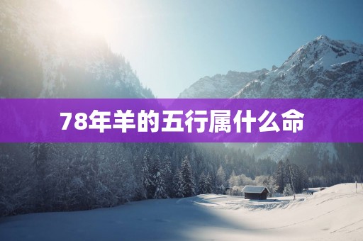 78年羊的五行属什么命