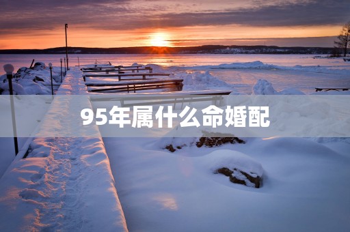 95年属什么命婚配