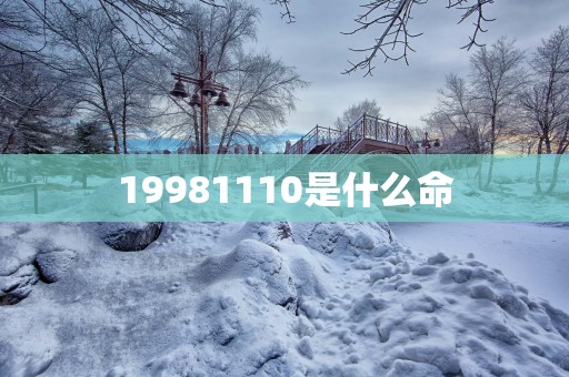 19981110是什么命