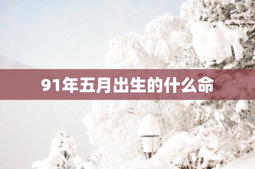 91年五月出生的什么命