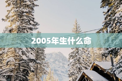 2005年生什么命