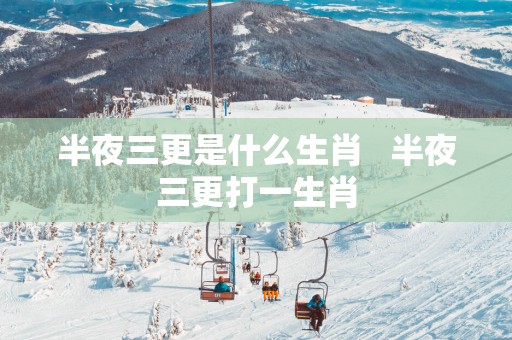 半夜三更是什么生肖   半夜三更打一生肖