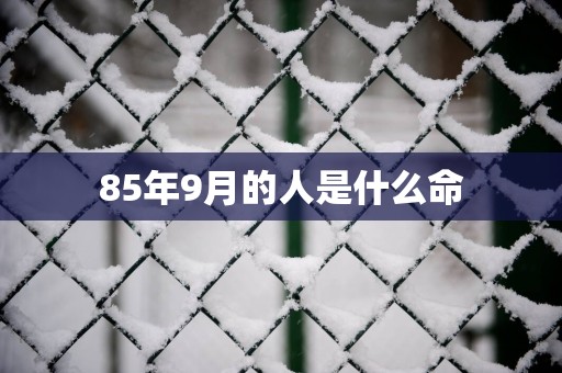 85年9月的人是什么命
