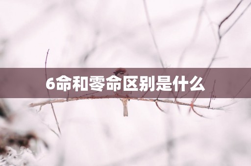 6命和零命区别是什么