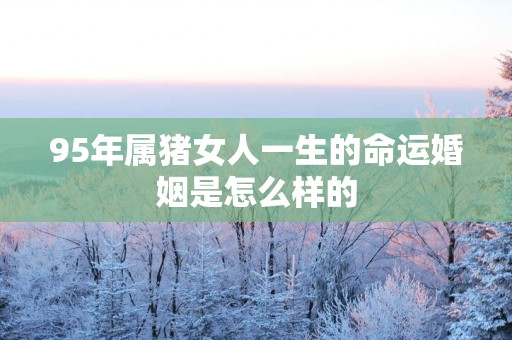 95年属猪女人一生的命运婚姻是怎么样的
