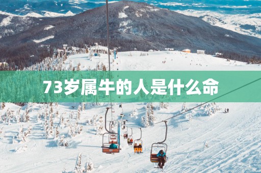73岁属牛的人是什么命