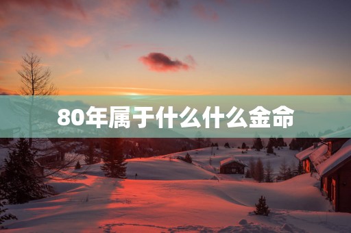 80年属于什么什么金命