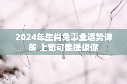 2025年生肖兔事业运势详解 上司可能提拔你