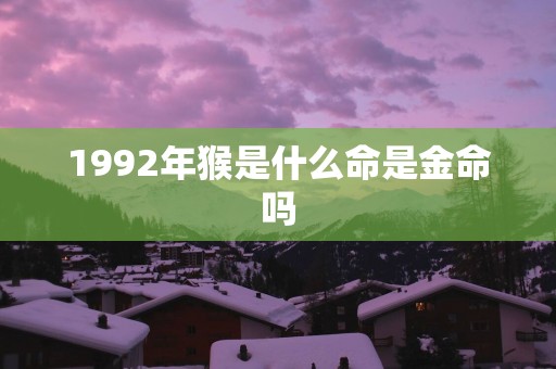 1992年猴是什么命是金命吗